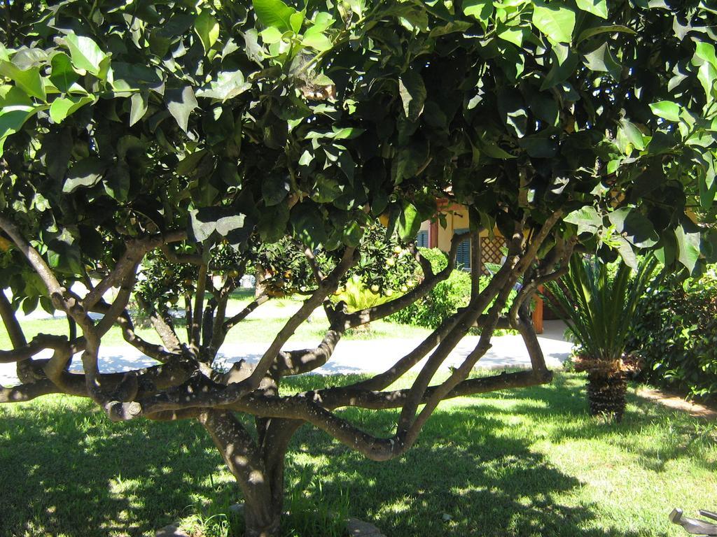 Tenuta Paifer Otrante Extérieur photo